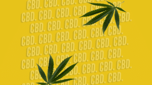 CBD