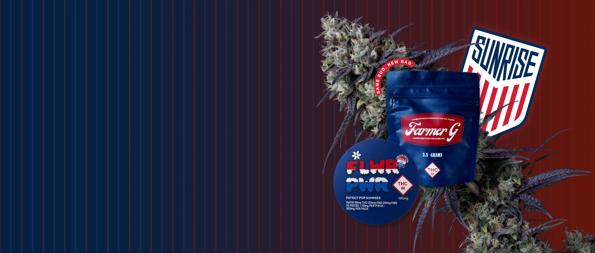Website Banner - Summer 2026