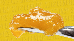 Shop Concentrates