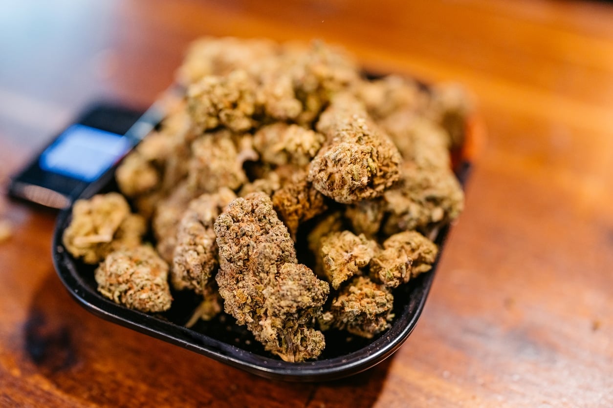 Herbal cannabis (marijuana) being weighted on a weight scale in a cannabis shop in Thailand.